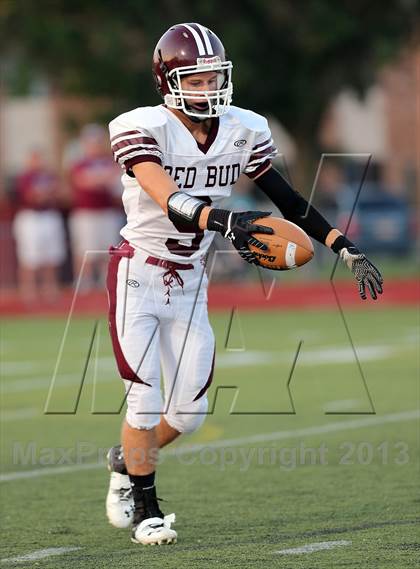 Thumbnail 1 in Red Bud @ Wesclin photogallery.