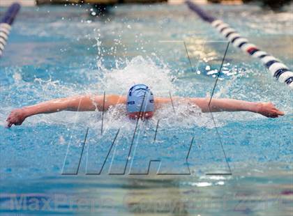 Thumbnail 3 in CHSAA 5A Girls Swimming Championships photogallery.