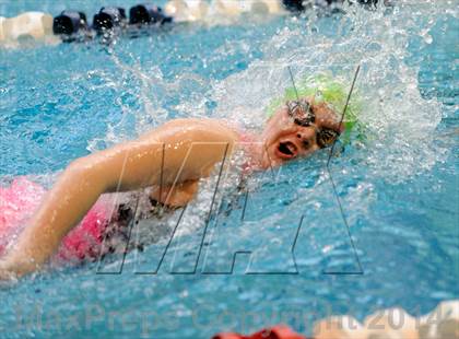 Thumbnail 3 in CHSAA 5A Girls Swimming Championships photogallery.