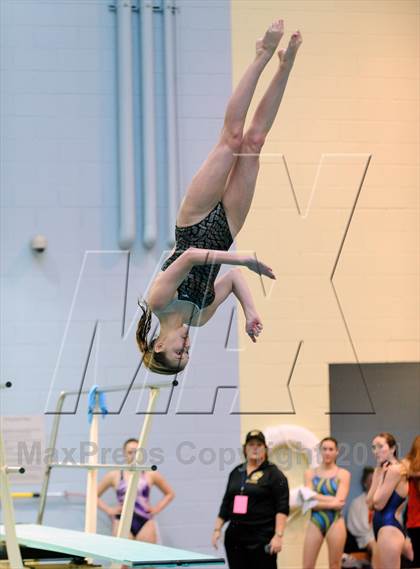Thumbnail 1 in CHSAA 5A Girls Swimming Championships photogallery.