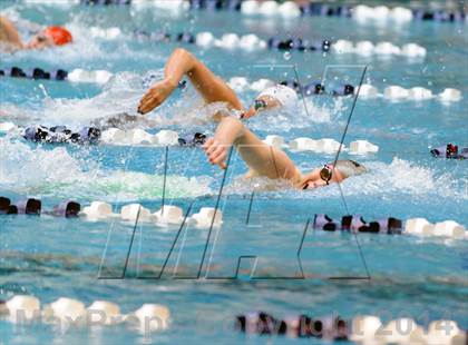 Thumbnail 1 in CHSAA 5A Girls Swimming Championships photogallery.