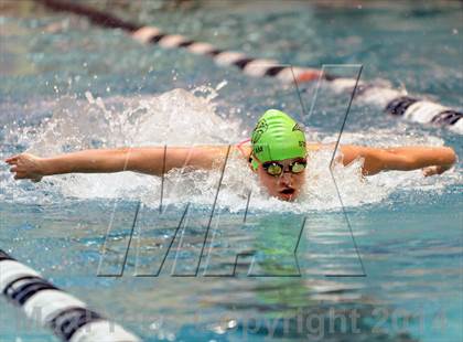 Thumbnail 3 in CHSAA 5A Girls Swimming Championships photogallery.