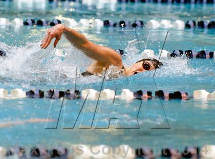 Thumbnail 1 in CHSAA 5A Girls Swimming Championships photogallery.