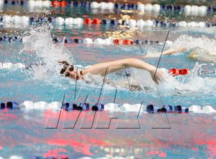 Thumbnail 1 in CHSAA 5A Girls Swimming Championships photogallery.
