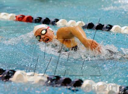 Thumbnail 3 in CHSAA 5A Girls Swimming Championships photogallery.