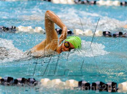 Thumbnail 2 in CHSAA 5A Girls Swimming Championships photogallery.