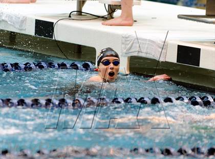 Thumbnail 2 in CHSAA 5A Girls Swimming Championships photogallery.
