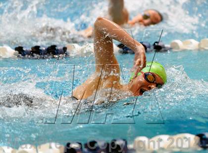Thumbnail 1 in CHSAA 5A Girls Swimming Championships photogallery.