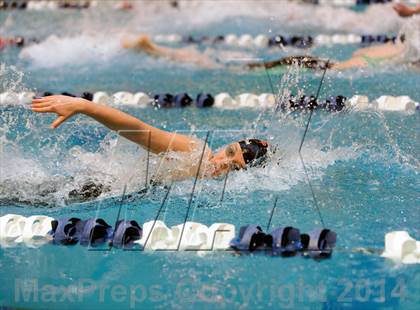 Thumbnail 1 in CHSAA 5A Girls Swimming Championships photogallery.