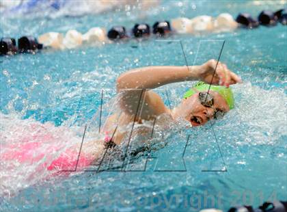 Thumbnail 1 in CHSAA 5A Girls Swimming Championships photogallery.