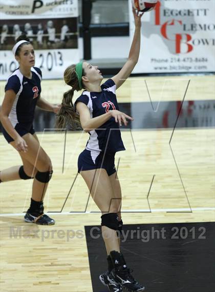 Thumbnail 2 in Allen @ Lovejoy photogallery.