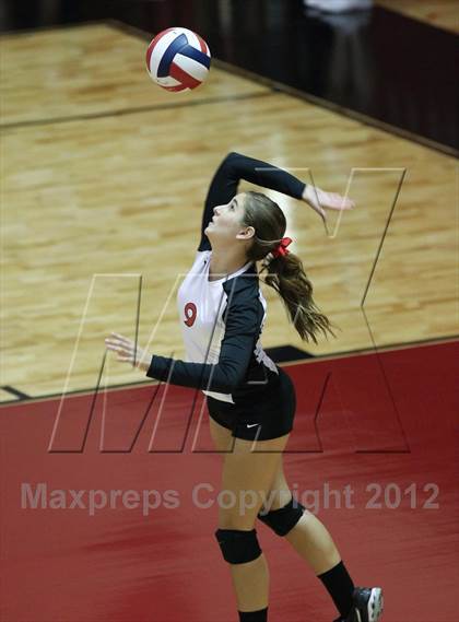 Thumbnail 1 in Allen @ Lovejoy photogallery.