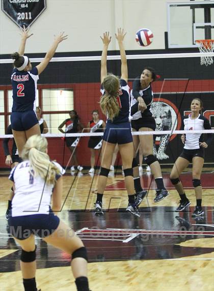 Thumbnail 1 in Allen @ Lovejoy photogallery.