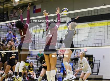 Thumbnail 3 in Red Oak @ Crandall photogallery.