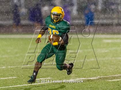 Thumbnail 3 in Warren @ Holmes photogallery.