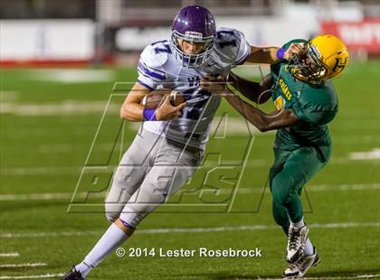 Thumbnail 2 in Warren @ Holmes photogallery.