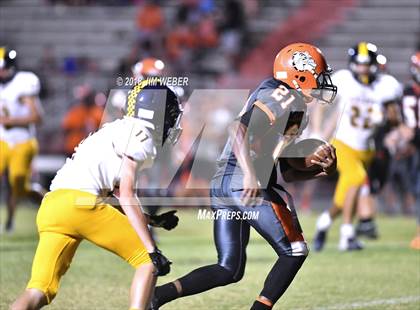 Thumbnail 3 in Land O' Lakes @ Zephyrhills photogallery.