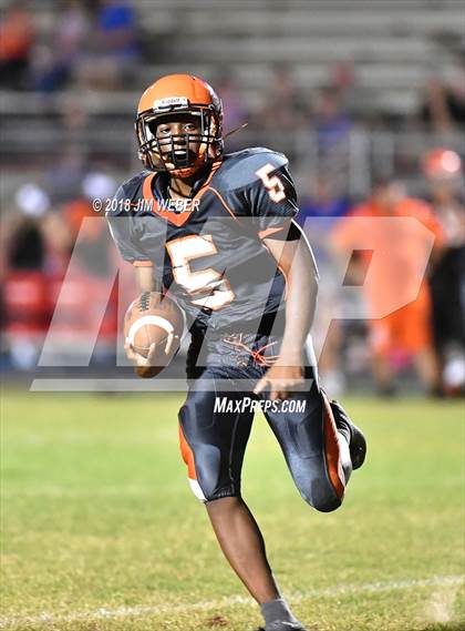 Thumbnail 3 in Land O' Lakes @ Zephyrhills photogallery.