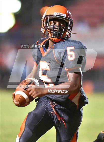 Thumbnail 3 in Land O' Lakes @ Zephyrhills photogallery.