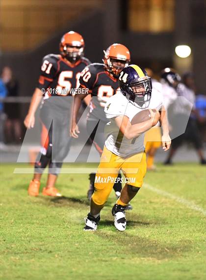 Thumbnail 3 in Land O' Lakes @ Zephyrhills photogallery.