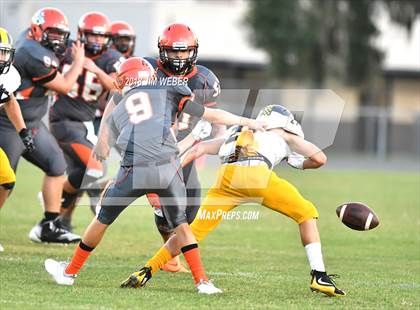 Thumbnail 1 in Land O' Lakes @ Zephyrhills photogallery.
