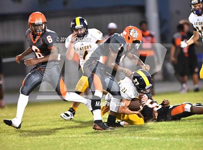 Thumbnail 1 in Land O' Lakes @ Zephyrhills photogallery.