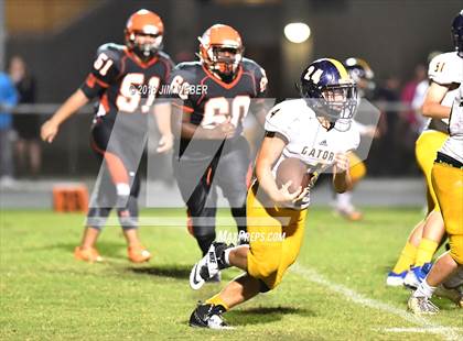 Thumbnail 1 in Land O' Lakes @ Zephyrhills photogallery.