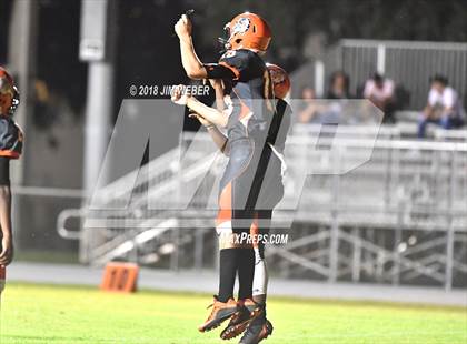 Thumbnail 1 in Land O' Lakes @ Zephyrhills photogallery.