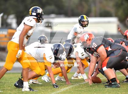 Thumbnail 1 in Land O' Lakes @ Zephyrhills photogallery.