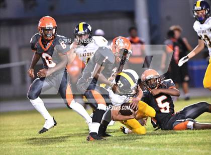 Thumbnail 3 in Land O' Lakes @ Zephyrhills photogallery.