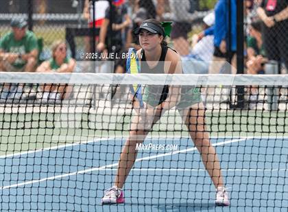 Thumbnail 1 in Indianapolis Bishop Chatard vs Westfield (IHSAA Team State Quarterfinal)  photogallery.