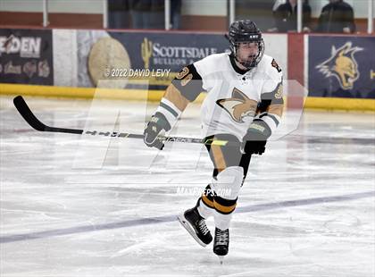 Thumbnail 2 in D1 Chaparral @ D1 Campo Verde photogallery.