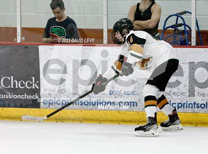 Thumbnail 2 in D1 Chaparral @ D1 Campo Verde photogallery.
