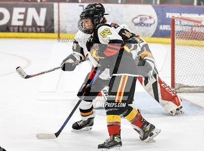Thumbnail 2 in D1 Chaparral @ D1 Campo Verde photogallery.