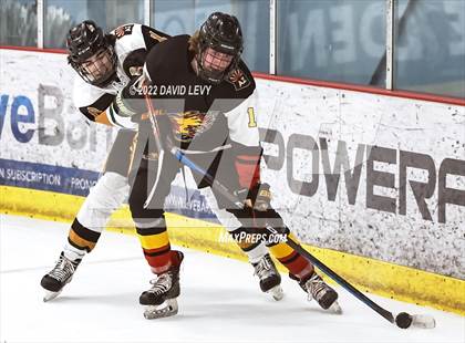 Thumbnail 1 in D1 Chaparral @ D1 Campo Verde photogallery.