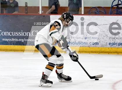 Thumbnail 2 in D1 Chaparral @ D1 Campo Verde photogallery.