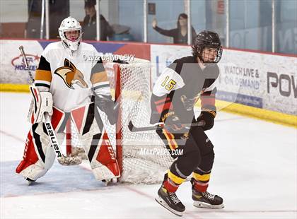 Thumbnail 1 in D1 Chaparral @ D1 Campo Verde photogallery.