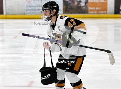 Thumbnail 2 in D1 Chaparral @ D1 Campo Verde photogallery.