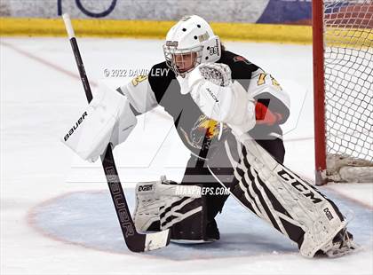 Thumbnail 1 in D1 Chaparral @ D1 Campo Verde photogallery.