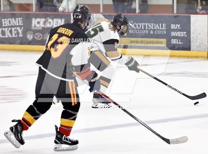 Thumbnail 3 in D1 Chaparral @ D1 Campo Verde photogallery.