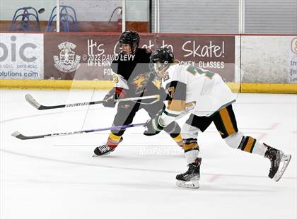 Thumbnail 3 in D1 Chaparral @ D1 Campo Verde photogallery.