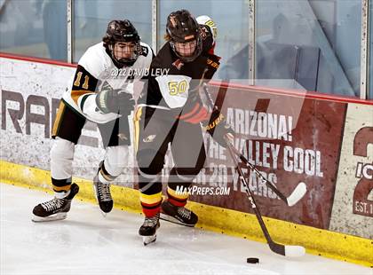 Thumbnail 2 in D1 Chaparral @ D1 Campo Verde photogallery.
