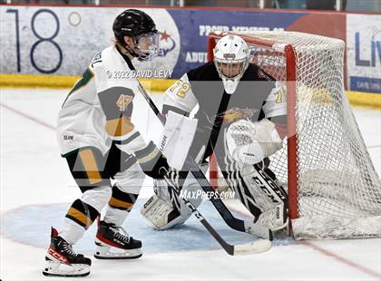 Thumbnail 2 in D1 Chaparral @ D1 Campo Verde photogallery.