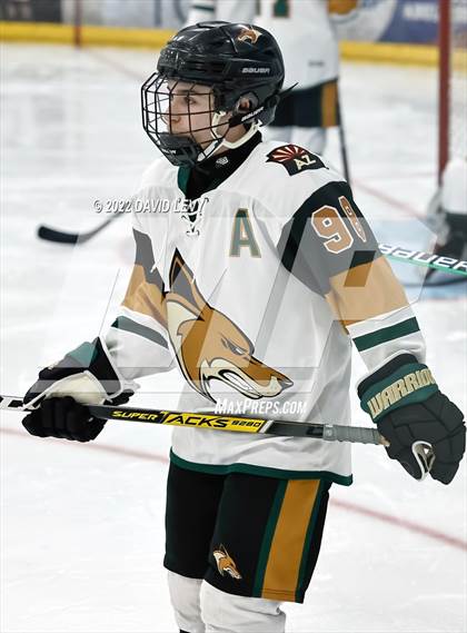 Thumbnail 1 in D1 Chaparral @ D1 Campo Verde photogallery.