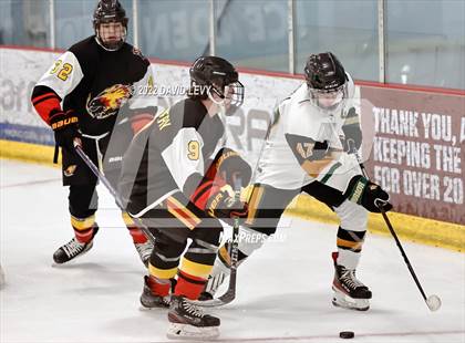 Thumbnail 2 in D1 Chaparral @ D1 Campo Verde photogallery.