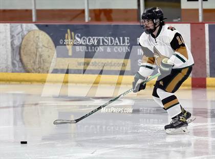 Thumbnail 3 in D1 Chaparral @ D1 Campo Verde photogallery.