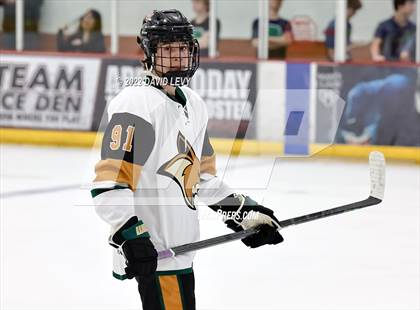 Thumbnail 1 in D1 Chaparral @ D1 Campo Verde photogallery.