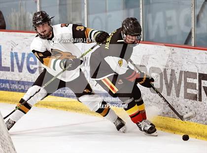 Thumbnail 1 in D1 Chaparral @ D1 Campo Verde photogallery.