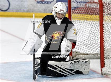 Thumbnail 3 in D1 Chaparral @ D1 Campo Verde photogallery.