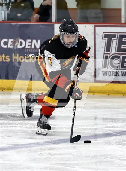 Thumbnail 1 in D1 Chaparral @ D1 Campo Verde photogallery.